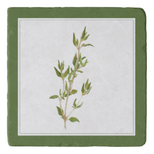 FRESH THYME Marble Stone Trivet (-text) Green