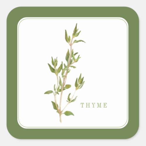 FRESH THYME Small Square Stickers _ Green