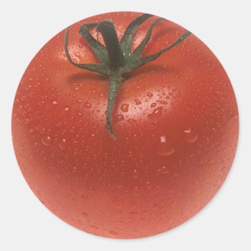 Fresh Tomato Classic Round Sticker