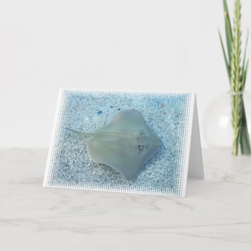 Fresh Water Stingray Greeting Card