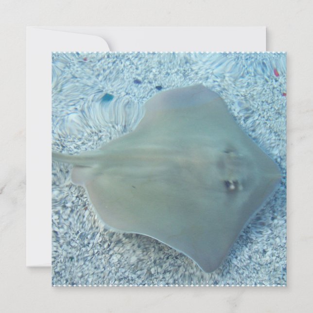 Fresh Water Stingray Invitations (Front)