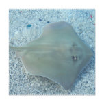 Fresh Water Stingray Invitations