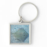 Fresh Water Stingray Keychain