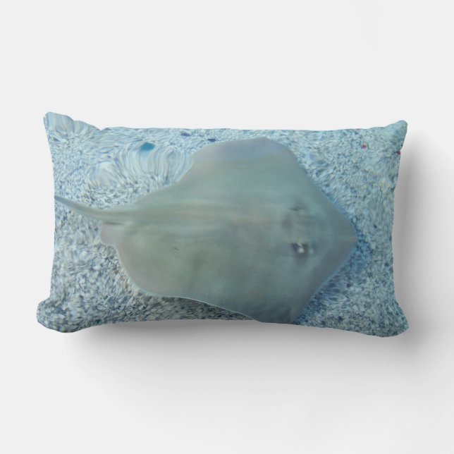 Fresh Water Stingray Pillow (Front)