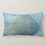 Fresh Water Stingray Pillow