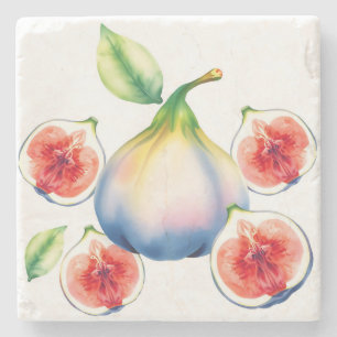 Fresh Watercolor Fig with Soft White Stone Coaster