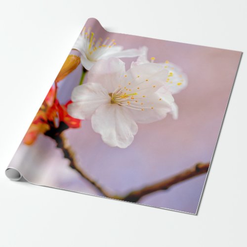 Fresh White Cherry Blossoms Cute Sakura Beauties Wrapping Paper