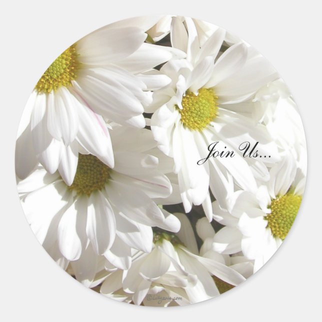 Fresh White Daisies Custom Envelope Seals (Front)