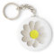 FRESH WHITE DAISY FLOWER, SPRING TIME FLOWER