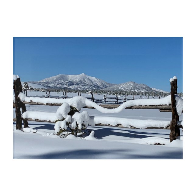 Fresh Winter Snow Scene In Northern Arizona Acrylic Print (Front)