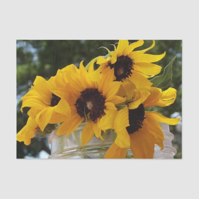 Fresh Yellow Sunflowers in a Jar Tissue Paper (Front)