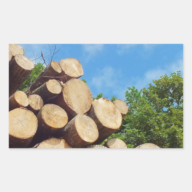 freshly cut wood in the forest under blue sky rectangular sticker (Front)