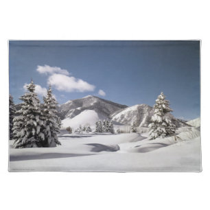 Freshly Fallen Snow Cloth Placemat