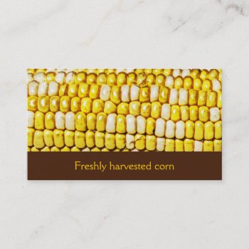 Freshly Harvested Corn Business Card by businessdesign at Zazzle