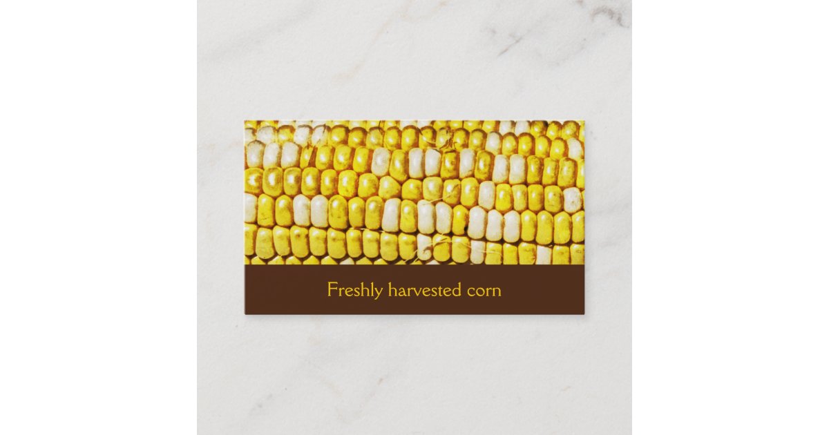freshly harvested corn business card