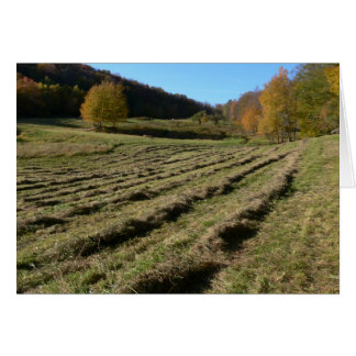 Freshly Mown Fields Cards