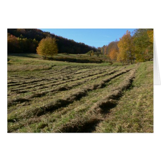 Freshly Mown Fields Cards (Front Horizontal)