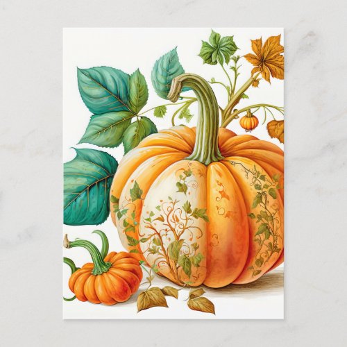 Freshly Picked Autumn Harvested Pumpkin Postcard