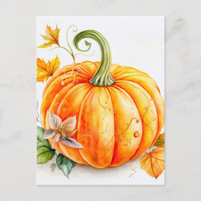 Freshly Picked Autumn Harvested Pumpkin Postcard (Front)
