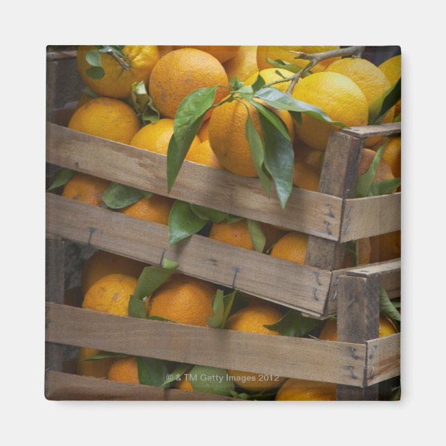 freshly picked oranges magnet (Front)