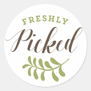 Freshly Picked Retro Typography Sticker
