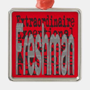 Freshman Extraordinaire Metal Ornament
