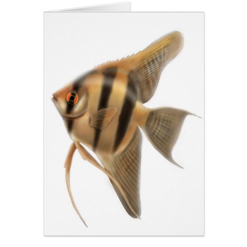 Freshwater Angelfish Card