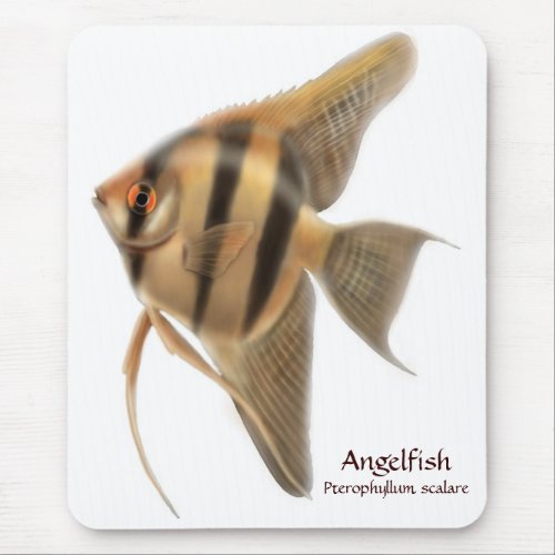 Freshwater Angelfish Mousepad
