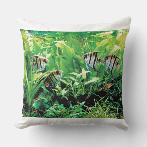 Freshwater Angelfish Throw Pillow