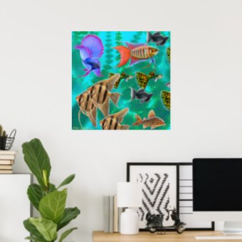 Freshwater Aquarium Fish Poster | Zazzle