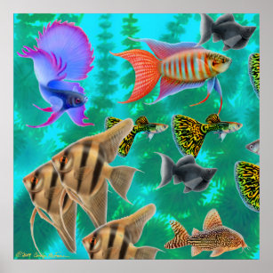 Set of tropical fish Poster