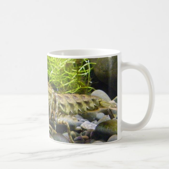 Freshwater crayfish mugs