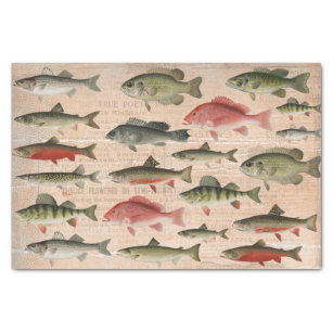 Fish Craft Tissue Paper