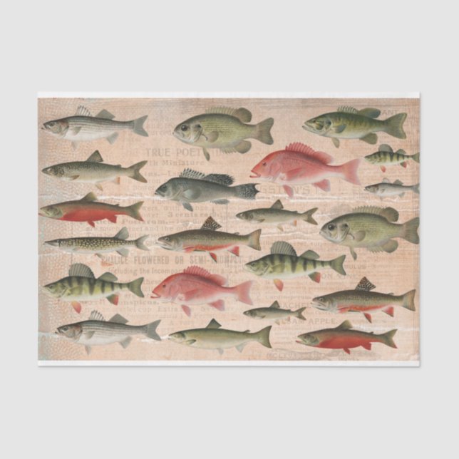 Freshwater Fish of North America Decoupage  Tissue Paper (Front)