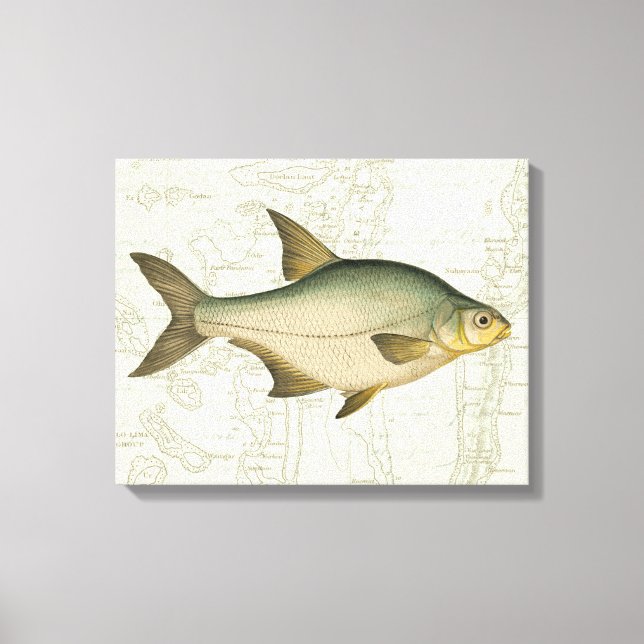 Freshwater Fish on Map Canvas Print (Front)