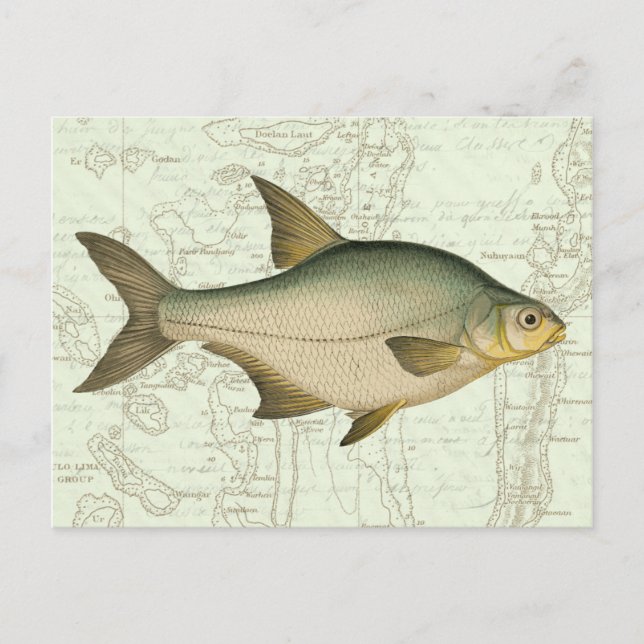 Freshwater Fish on Map Postcard (Front)