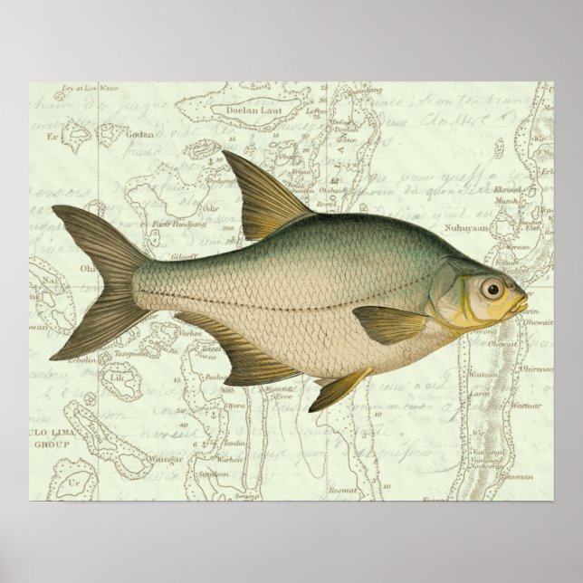 Freshwater Fish on Map Poster (Front)