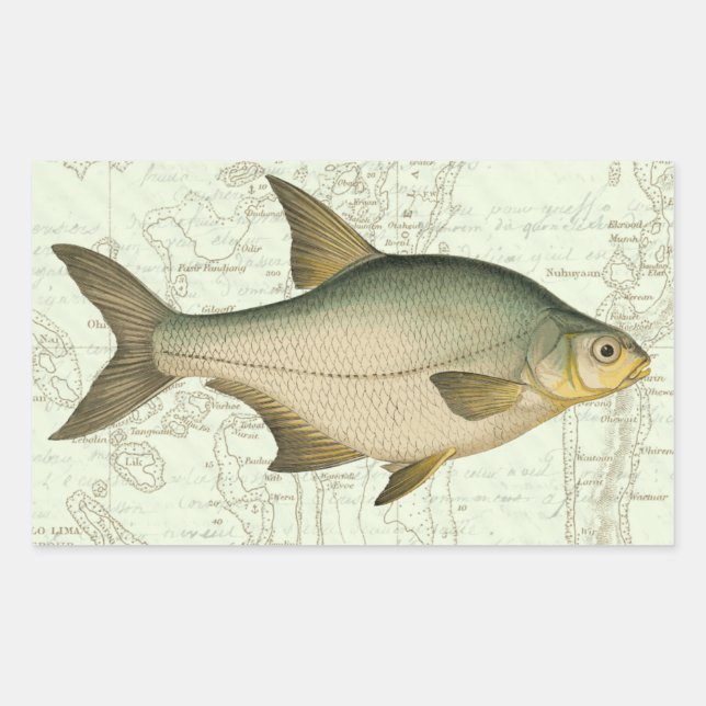 Freshwater Fish on Map Rectangular Sticker (Front)