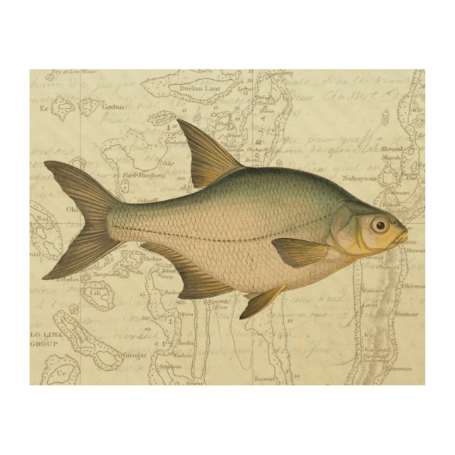 Freshwater Fish on Map Wood Wall Decor (Front)