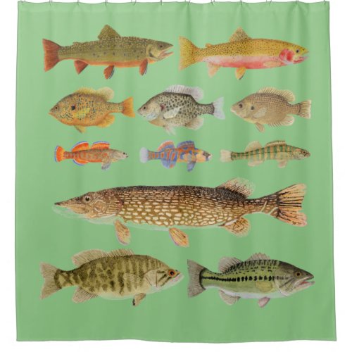 Freshwater Fish Shower Curtain