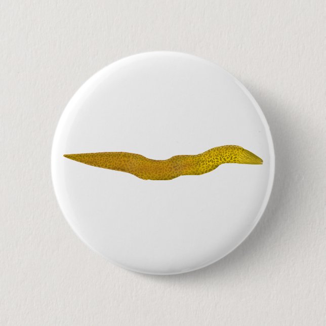 Freshwater Moray Button (Front)