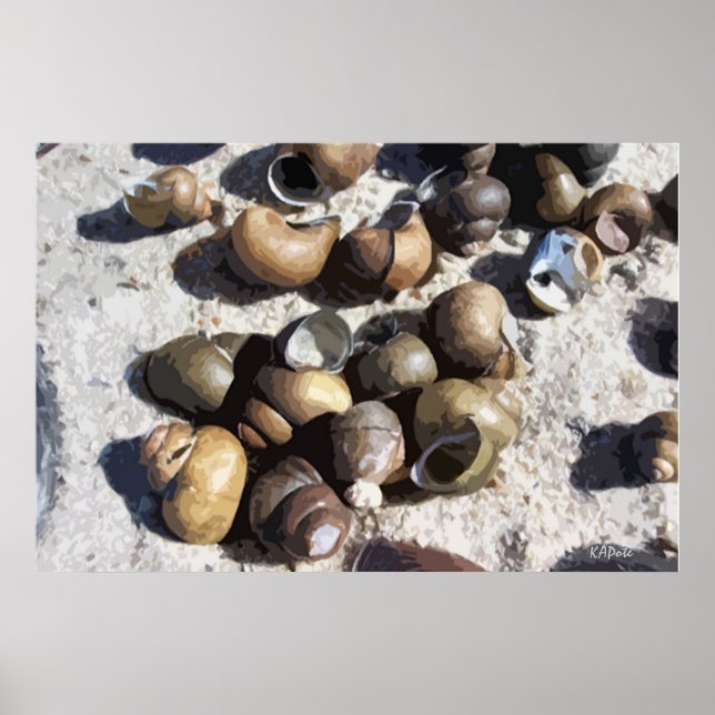 Freshwater Snailshells (textured) Poster (Front)