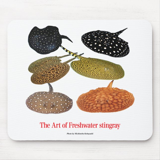 Freshwater Stingrayのマウスパッド Mouse Pad (Front)