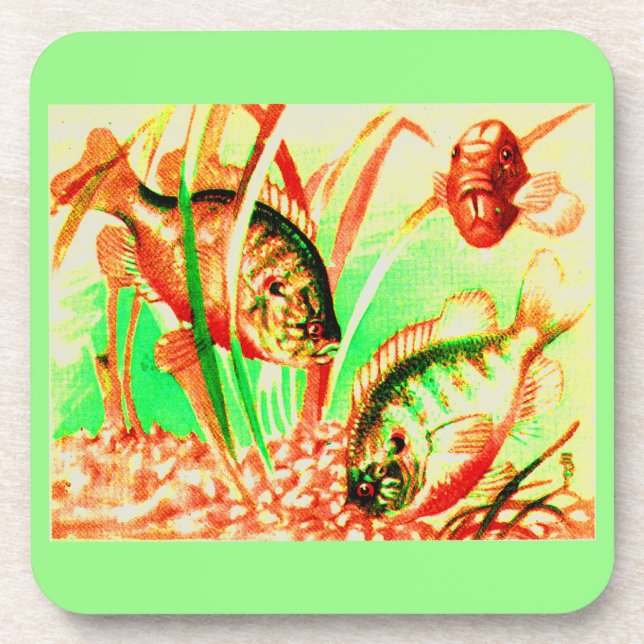 freshwater sunfish beverage coaster (Front)
