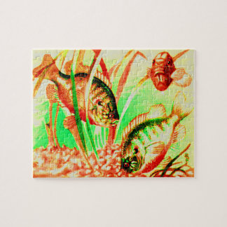 freshwater sunfish jigsaw puzzle