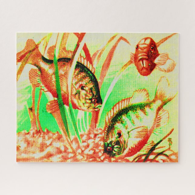 freshwater sunfish jigsaw puzzle (Horizontal)