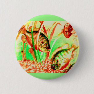 freshwater sunfish pinback button