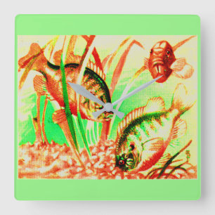 freshwater sunfish square wall clock