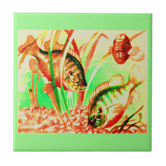 freshwater sunfish tile