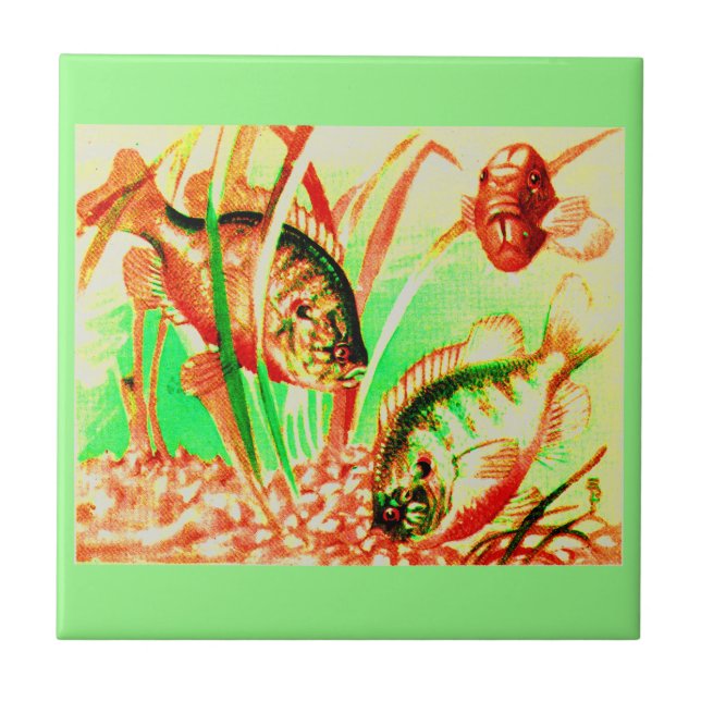 freshwater sunfish tile (Front)